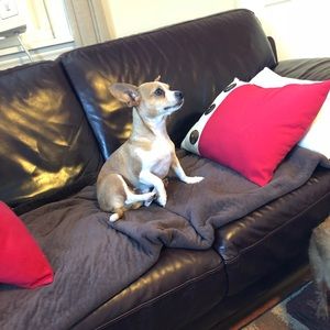 Meet your Posher, Tim